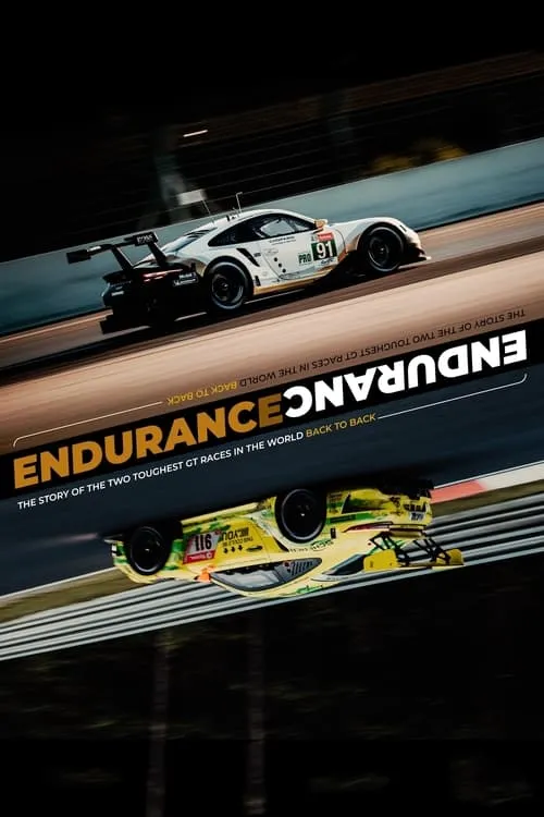 ENDURANCE (movie)