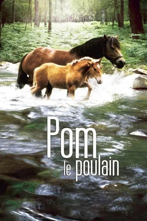 Pom, le poulain (фильм)