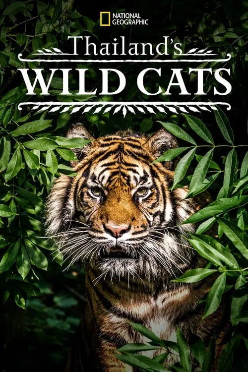 Thailand's Wild Cats (movie)