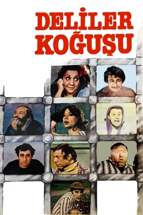 Deliler Koğuşu (фильм)