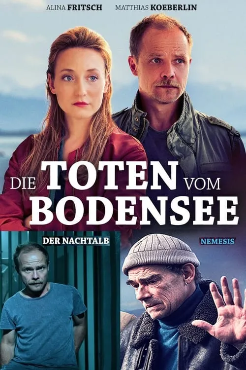 Die Toten vom Bodensee (сериал)