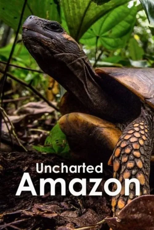 Uncharted Amazon (фильм)