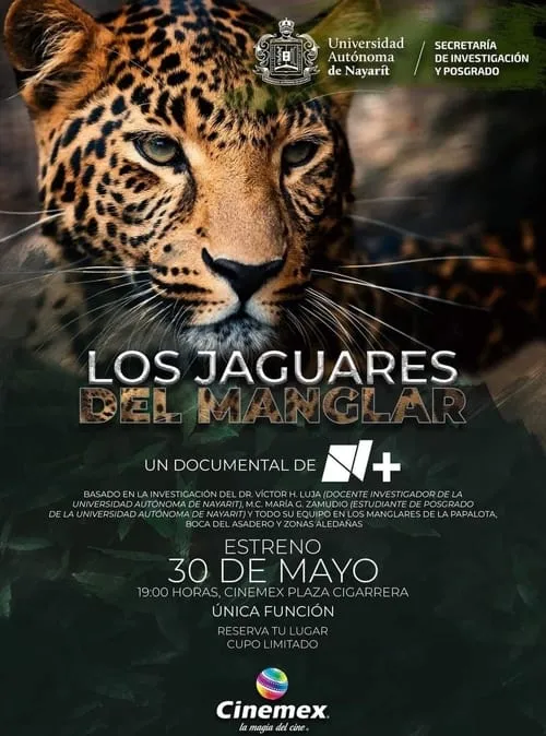 Los Jaguares del Manglar (фильм)