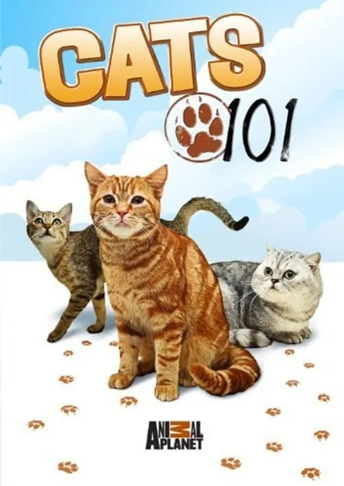 Cats 101 (series)