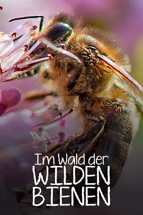 Im Wald der wilden Bienen