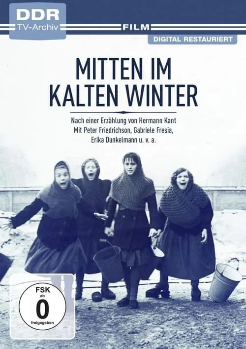 Mitten im kalten Winter (фильм)