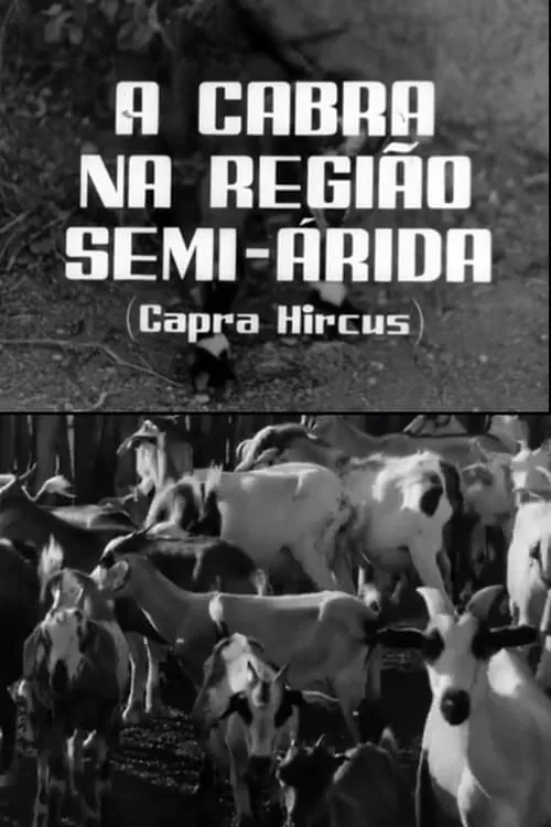 A Cabra na Região Semi-Árida