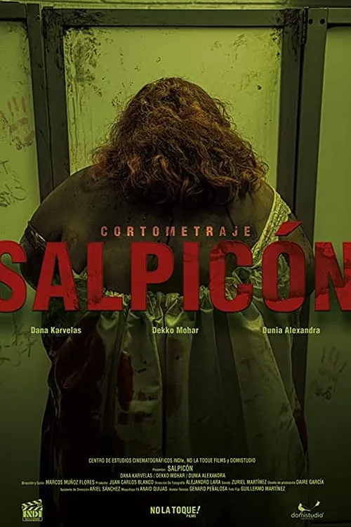 Salpicón (фильм)