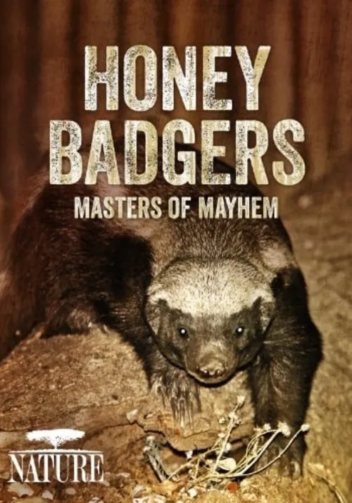 Honey Badgers: Masters of Mayhem (фильм)