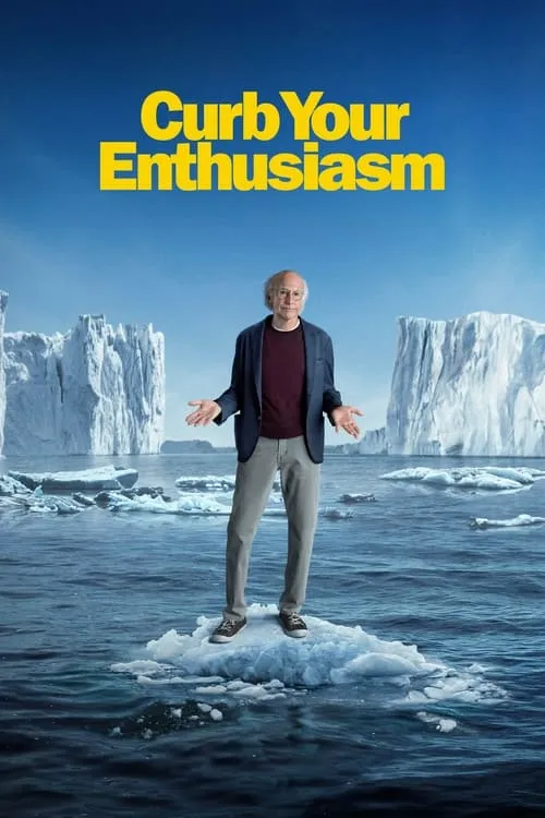 Curb Your Enthusiasm (series)