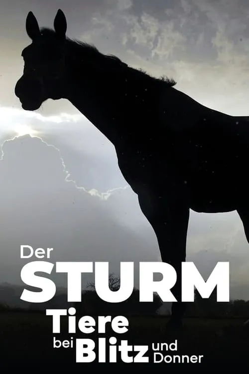 Der Sturm - Tiere bei Blitz und Donner (фильм)