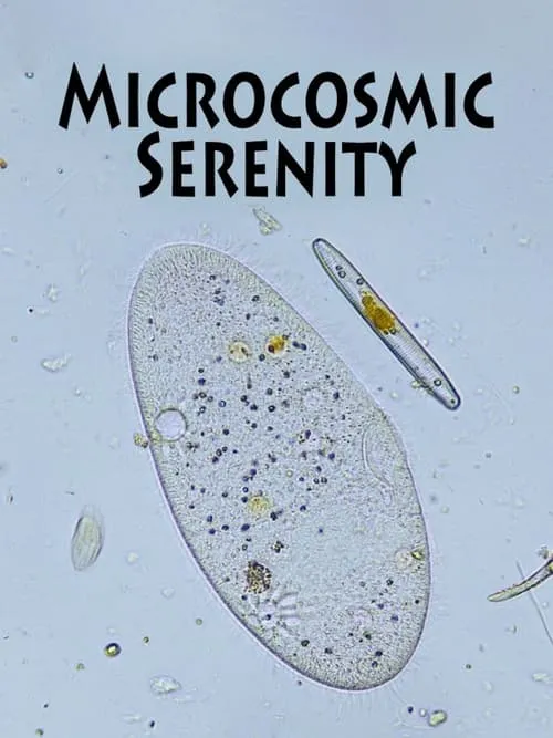 Microcosmic Serenity (фильм)