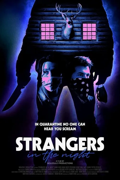 Strangers in the Night (movie)