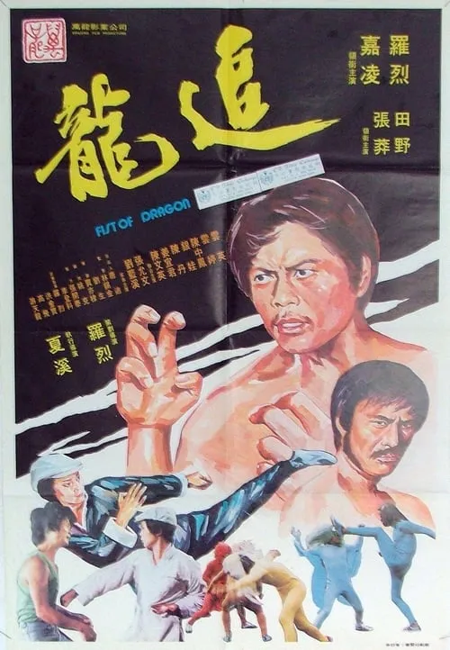 Fist of Dragon (movie)