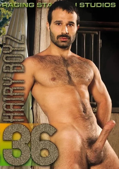 Hairy Boyz 36 (фильм)