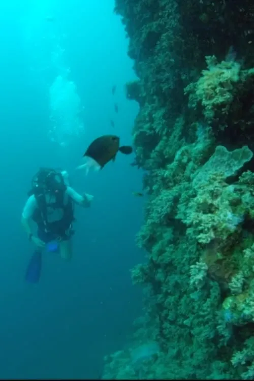 Wonders of the Great Barrier Reef with Iolo Williams (movie)