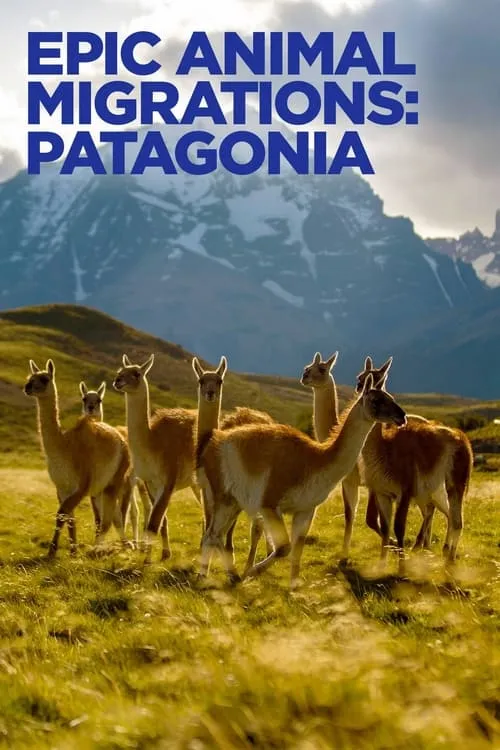 Epic Animal Migrations: Patagonia (фильм)