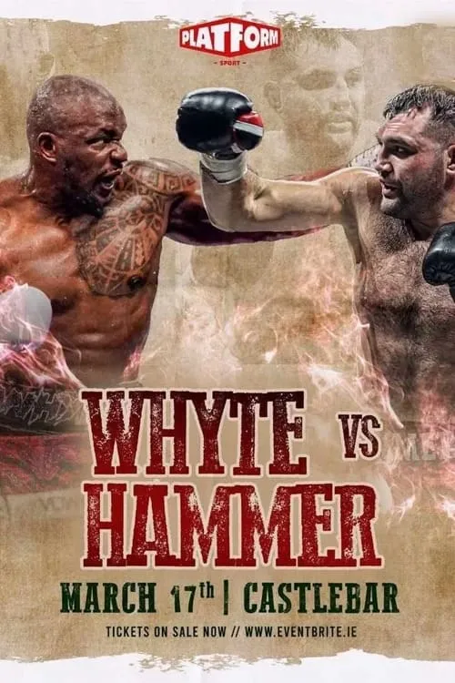 Dillian Whyte vs. Christian Hammer (movie)