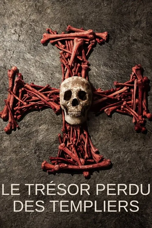 Pirate Treasure of the Knights Templar (сериал)