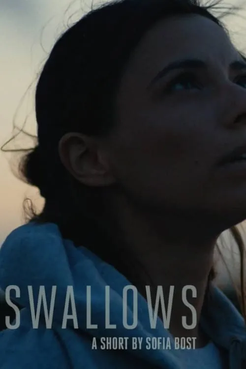 Swallows (movie)