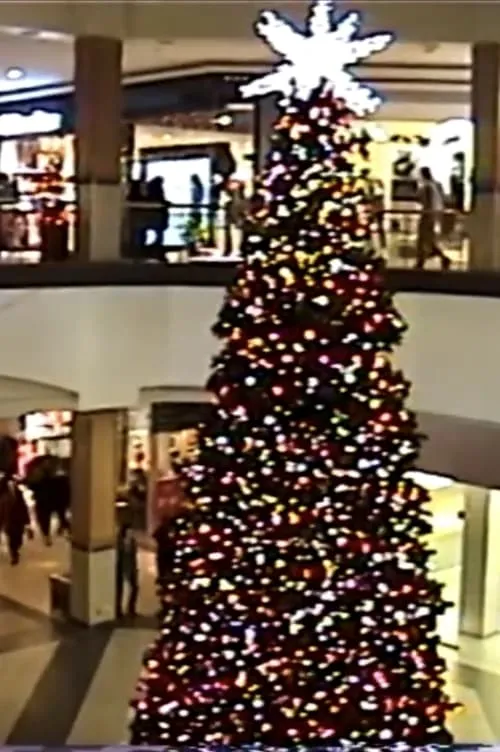 xmas @ the mall (movie)