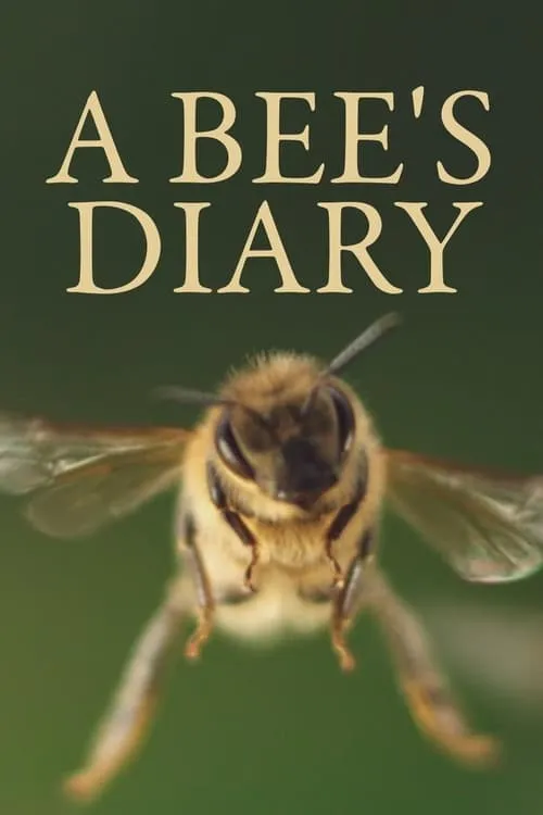 A Bee's Diary (фильм)