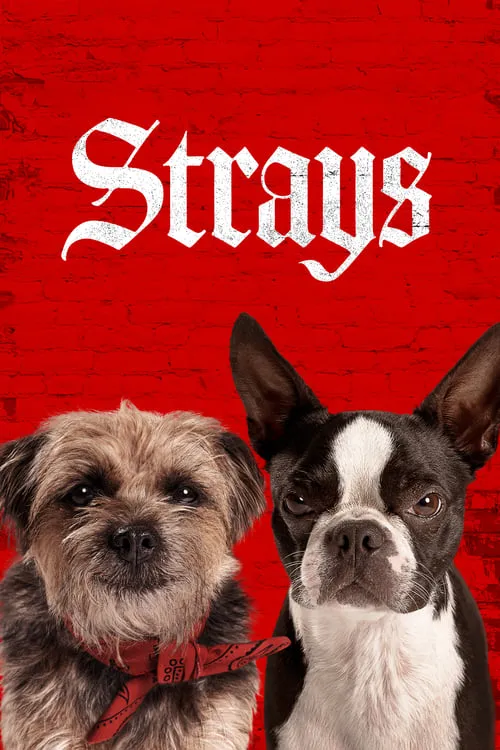 Strays (movie)