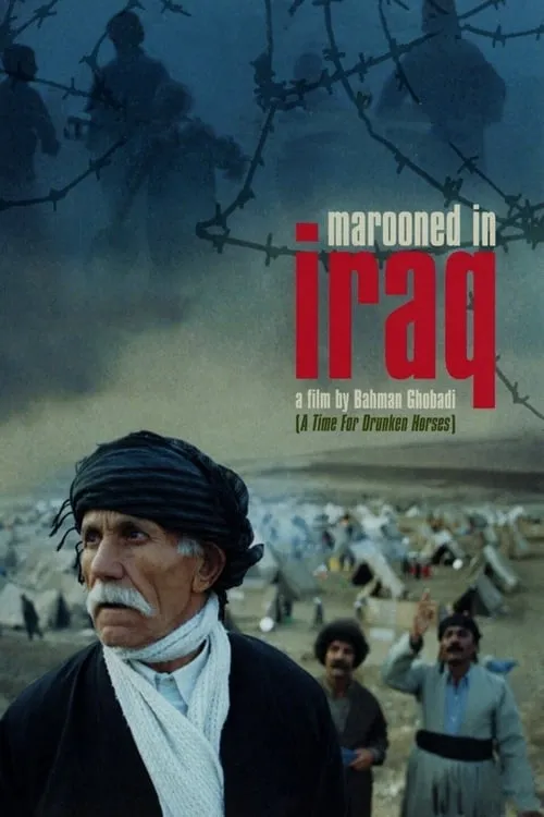 Заблудившийся в Ираке (фильм)