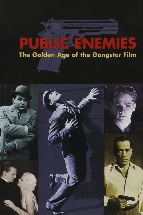 Public Enemies: The Golden Age of the Gangster Film (movie)