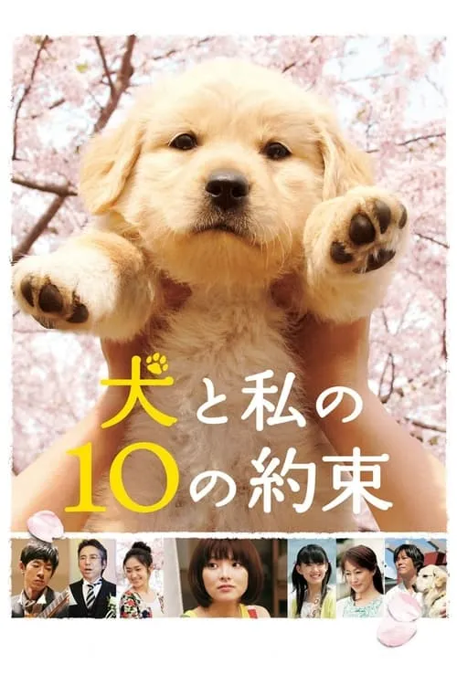 10 Promises to My Dog (movie)