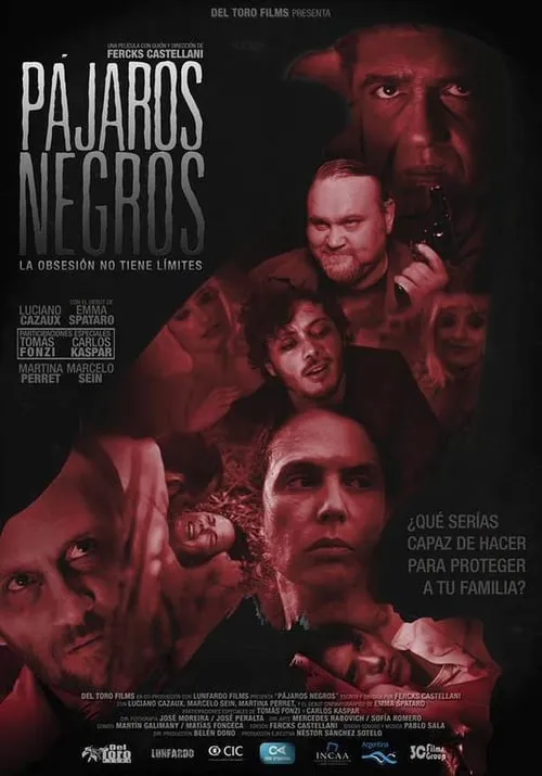 Pájaros negros (movie)