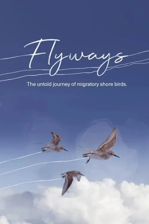 Flyways (movie)
