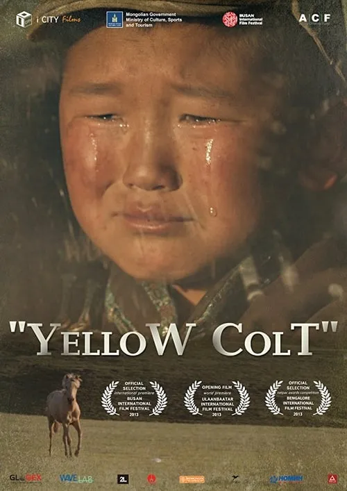 Yellow Colt (movie)