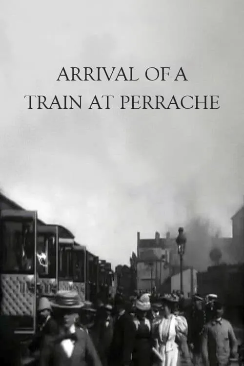 Arrival of a Train at Perrache (movie)