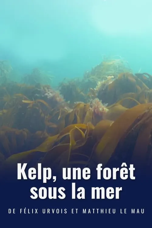 Kelp, une forêt sous la mer (фильм)