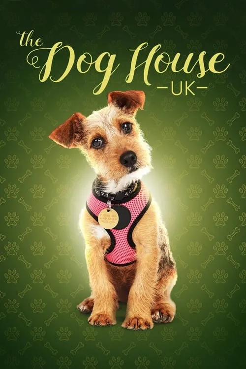 The Dog House (сериал)