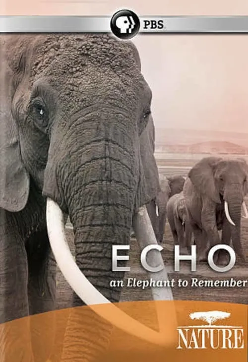 Echo: An Elephant to Remember (movie)