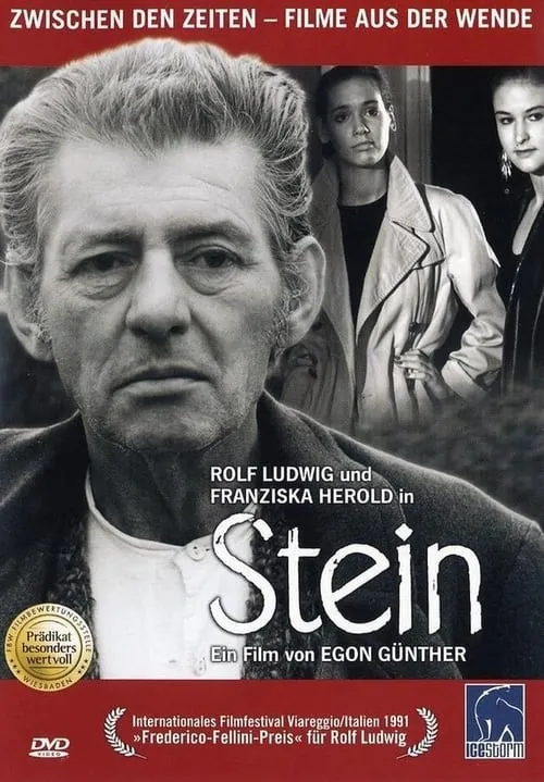 Stein (movie)