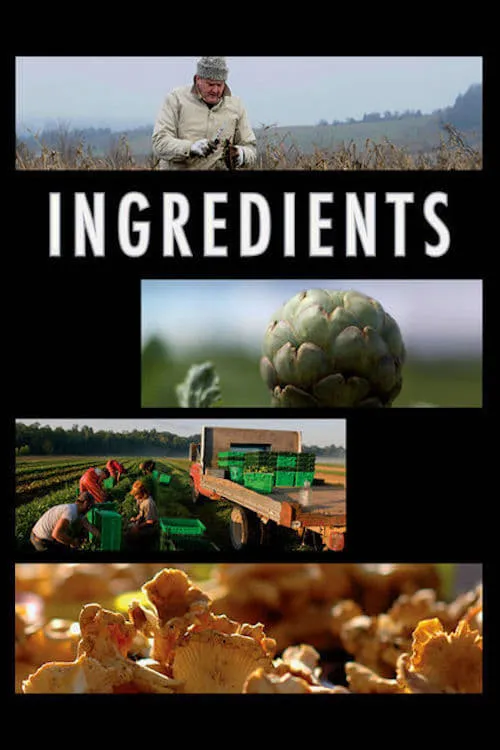 Ingredients (фильм)