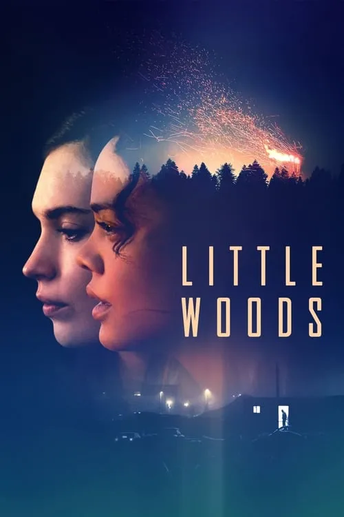 Little Woods (movie)