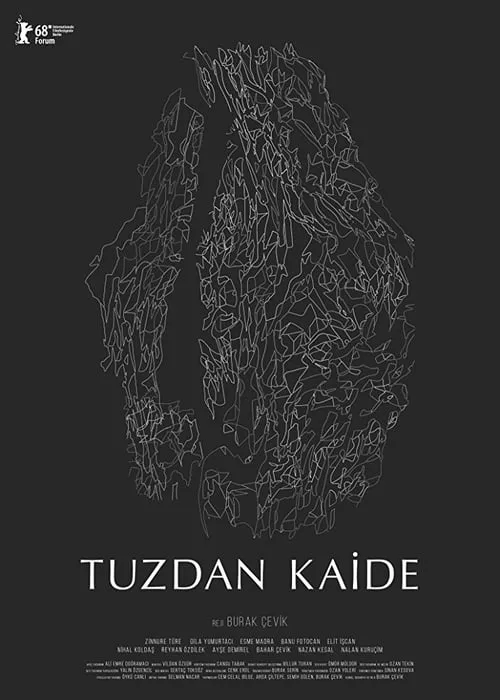 Tuzdan Kaide (фильм)