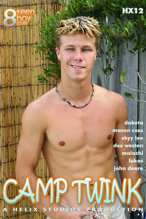 Camp Twink (movie)