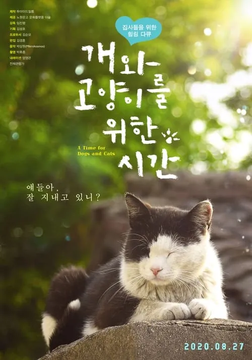 A Time for Dogs and Cats (movie)