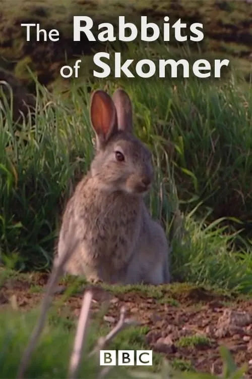 The Rabbits of Skomer (movie)