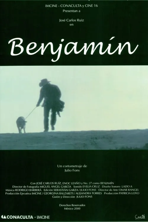 Benjamín (фильм)