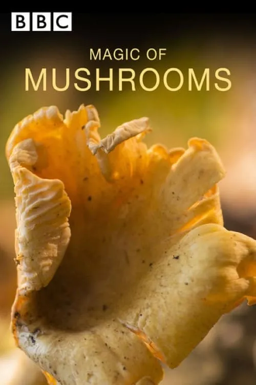 The Magic of Mushrooms (фильм)