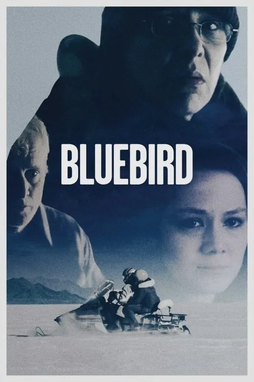 Bluebird (movie)
