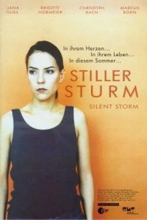 Silent Storm (movie)