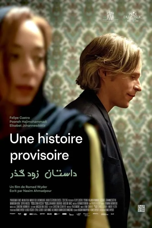 Une histoire provisoire