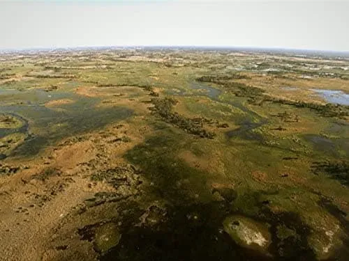 Okavango: Water in the Desert